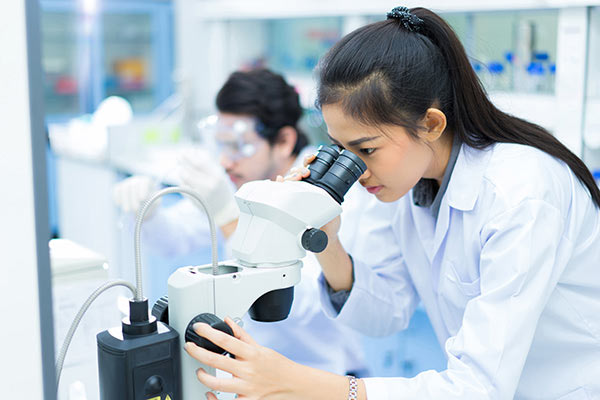 人力资源管理专业学生求职信