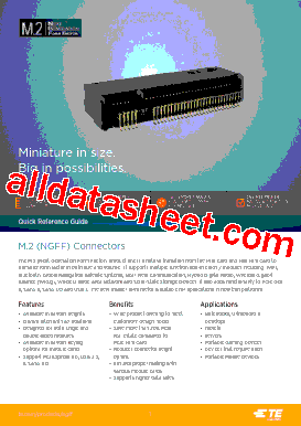 12110-D1-F-X型号图片