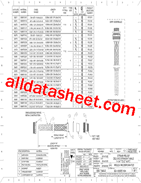 1300970243型号图片