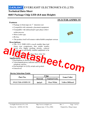 19-21-T1D-ANPHY-3T型号图片