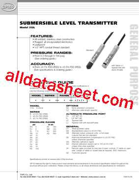 313LCPRCZLDGG型号图片
