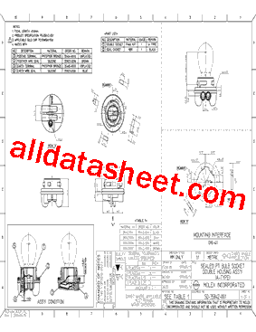 358420306型号图片