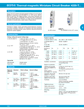 4230-T110-K0DE-10A型号图片