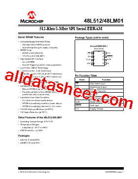 48LM01型号图片