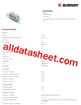 BISR2RK型号图片