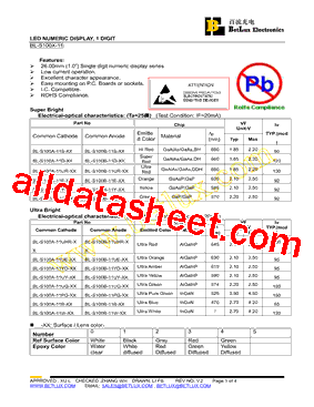 BL-S100A-11D-34型号图片