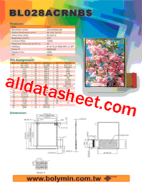 BL028ACRNB型号图片