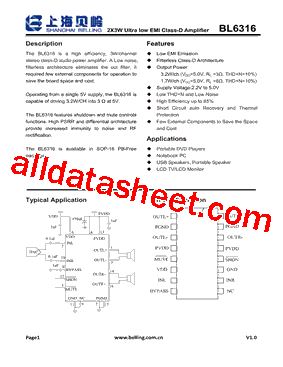 BL6316型号图片