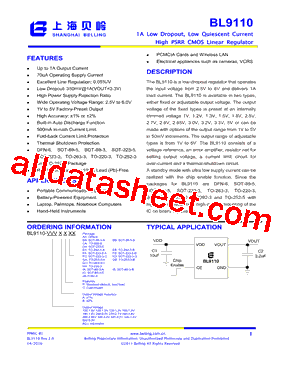 BL9110-100APDA型号图片