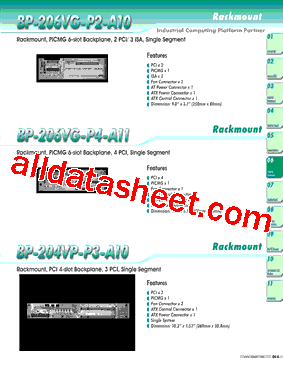 BP-206VG-P4-A11型号图片