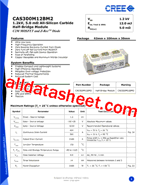 CAS300M12BM2_14型号图片