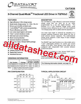 CAT3636_08型号图片