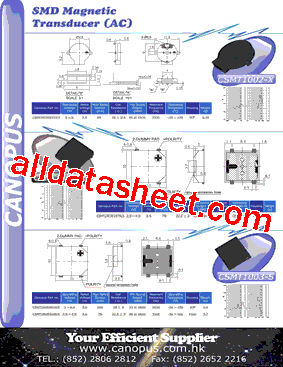 CSMT1003-SS型号图片