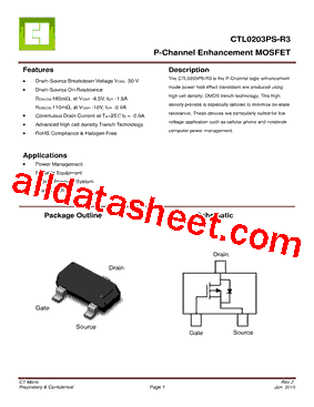 CTL0203PS-R3型号图片