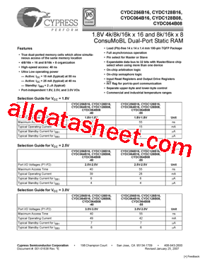 CYDC064B16-55AXI型号图片