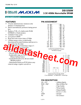 DS1250W-100+型号图片