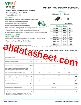 DS12W_V01型号图片