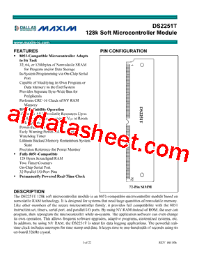 DS2251T型号图片