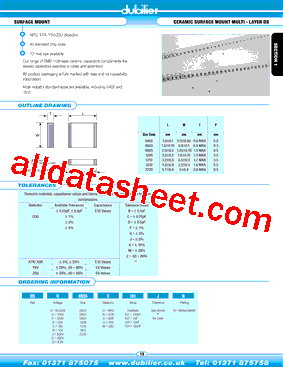 DSA0805X103JN型号图片