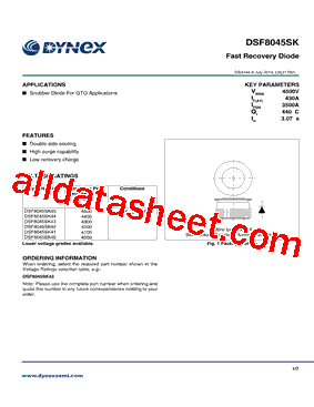 DSF8045SK41型号图片