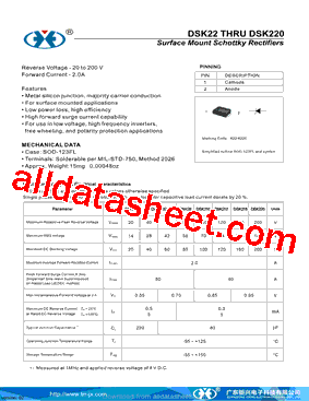 DSK22_19型号图片