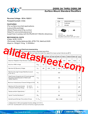 DSR0.3A_19型号图片