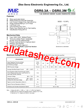 DSR0.3B型号图片