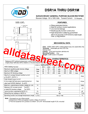 DSR1B型号图片