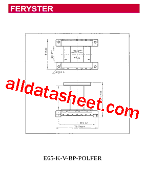 E65-KV-BP-POLFER型号图片