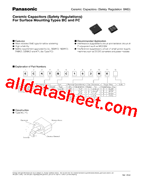 ECCTFC100DG型号图片