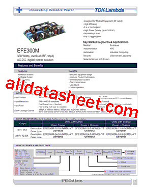 EFE300M-24-5-HNMDL-YT型号图片