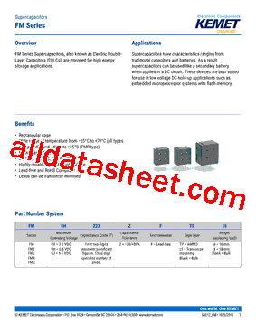 FML0V223ZFTP16型号图片