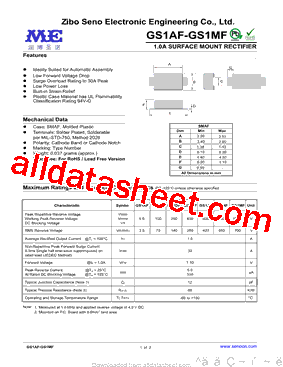 GS1DF型号图片