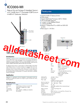 ICO300-MI型号图片
