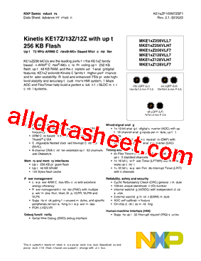 KE1XZP100M72SF1_V01型号图片