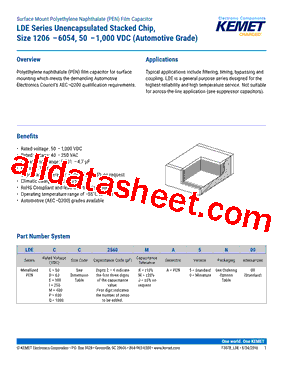 LDEDC2560JA0N00型号图片