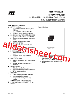 M58WR032EB型号图片