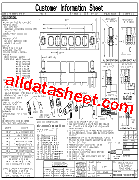 M80-4000000FI-02-305型号图片