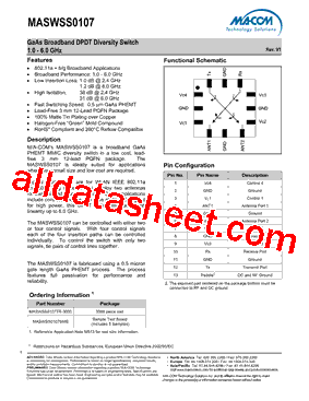 MASWSS0107TR-3000型号图片