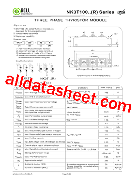 NK3T100型号图片