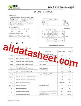 NKE135型号图片