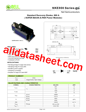 NKE80008型号图片