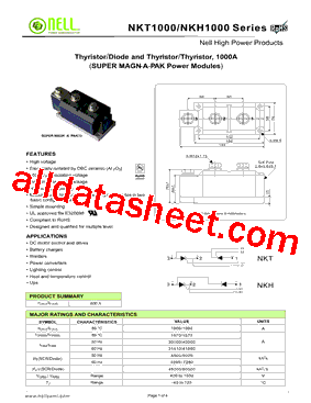 NKT100004型号图片