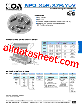 NPQ0402ATTD101D型号图片