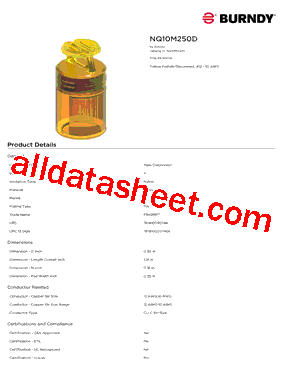 NQ10M250D型号图片