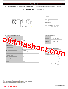 NS10165T100MNVV型号图片