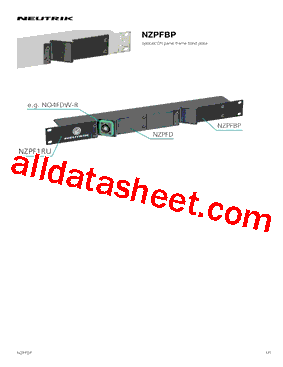 NZPFBP型号图片