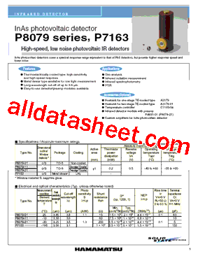 P8079-11型号图片