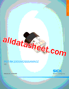PBT-RK100SM2SSSAMA0Z型号图片
