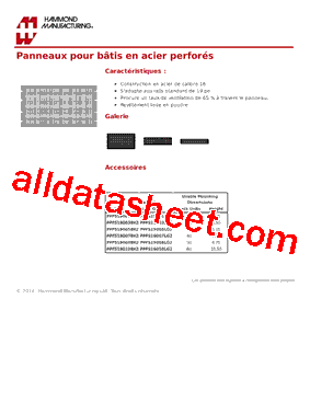 PPFS19005BK2型号图片